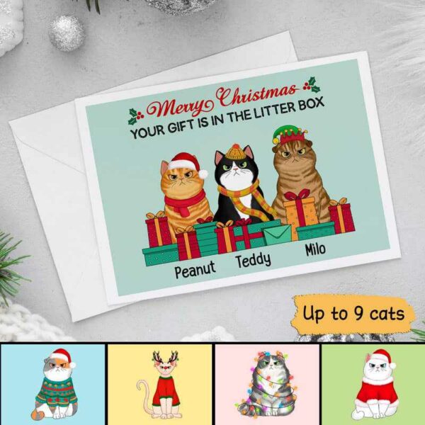 Cards Your Gifts In Litter Box Cats Personalized Postcard 7x5 / 1 Card