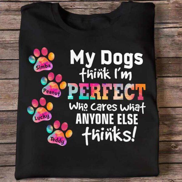 Apparel My Dogs Think I‘m Perfect Personalized Shirt Classic Tee / Black Classic Tee / S