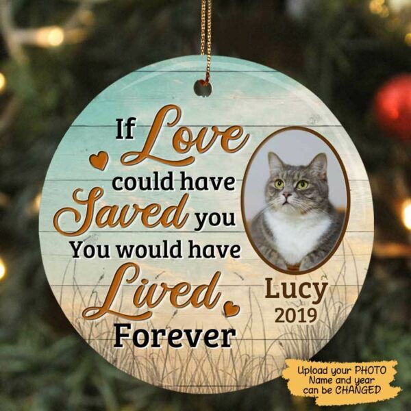 Circle Ornament Dog Cat Memorial If Love Could Have Saved You Circle Photo Personalized Decorative Christmas Ornament Pack 1