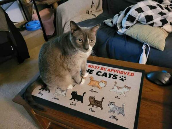 Doormat All Visitors Must Be Approved By Cats Personalized Doormat