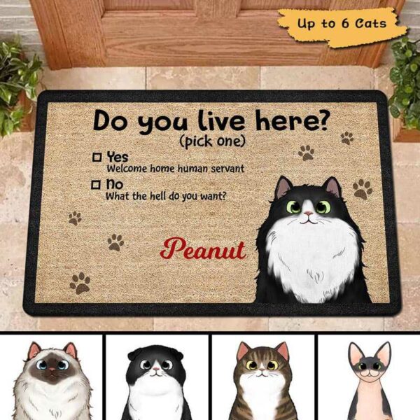 Doormat Do You Live Here Cats Personalized Doormat 16x24