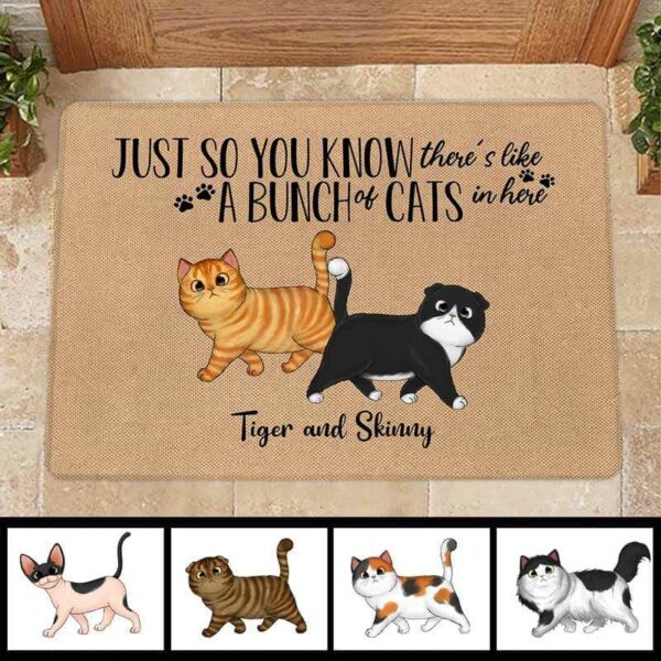 Doormat Guests Must Be Approved By Walking Fluffy Cat Personalized Doormat 16x24