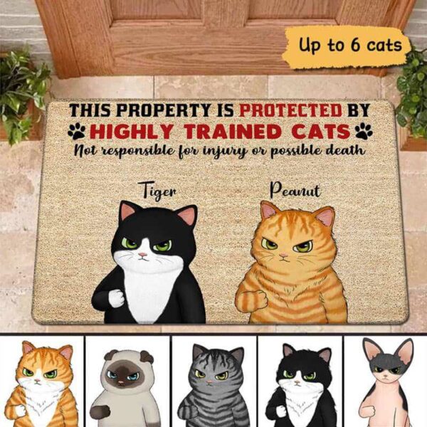 Doormat Property Protected By Grumpy Cat Personalized Doormat 18x30
