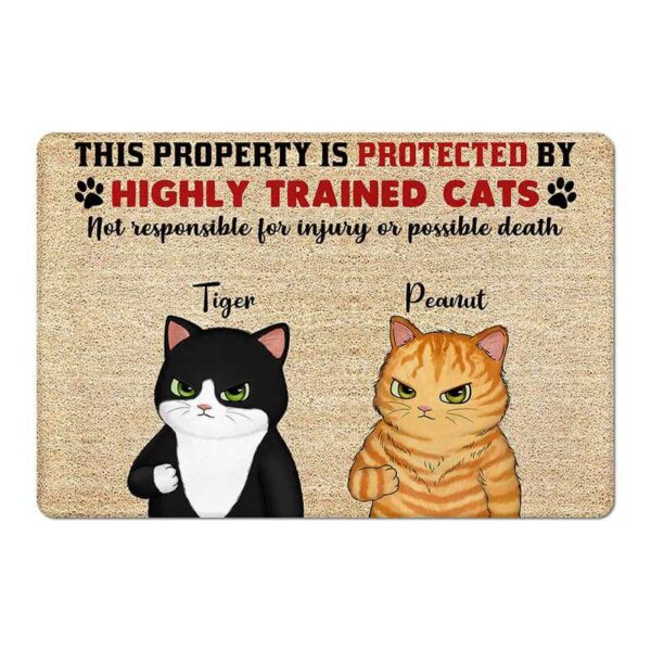 Doormat Property Protected By Grumpy Cat Personalized Doormat