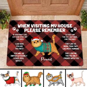 Doormat Remember When Visiting Our House Cats Personalized Doormat 16x24