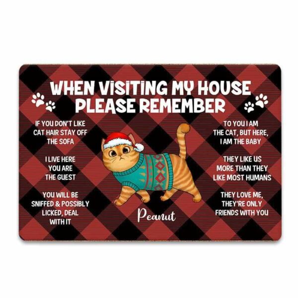 Doormat Remember When Visiting Our House Cats Personalized Doormat