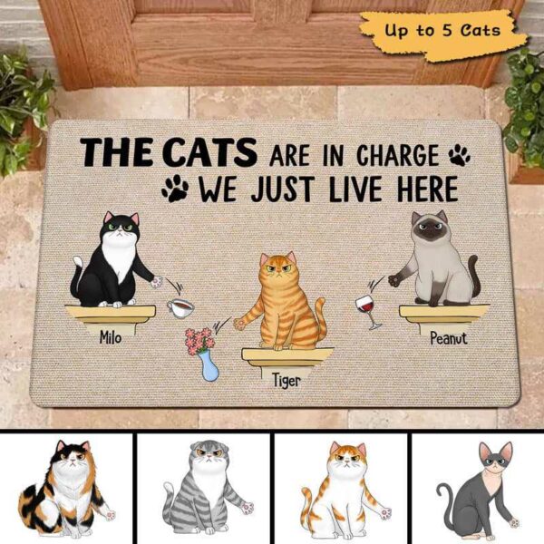 Doormat The Cat In Charge Fluffy Cat Personalized Doormat 16x24