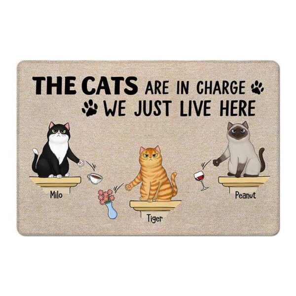 Doormat The Cat In Charge Fluffy Cat Personalized Doormat