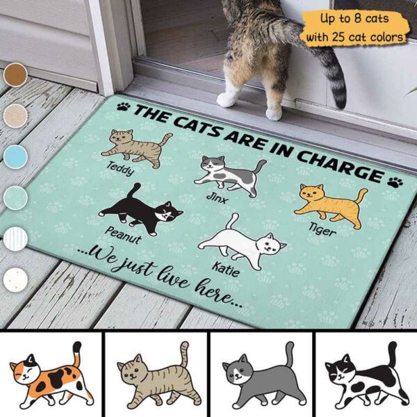 Doormat The Cat In Charge Walking Cat Personalized Doormat 18x30