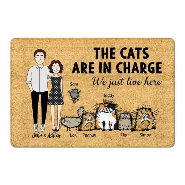 Doormat The Cat In Charge We Just Live Here Funny Cat Personalized Doormat