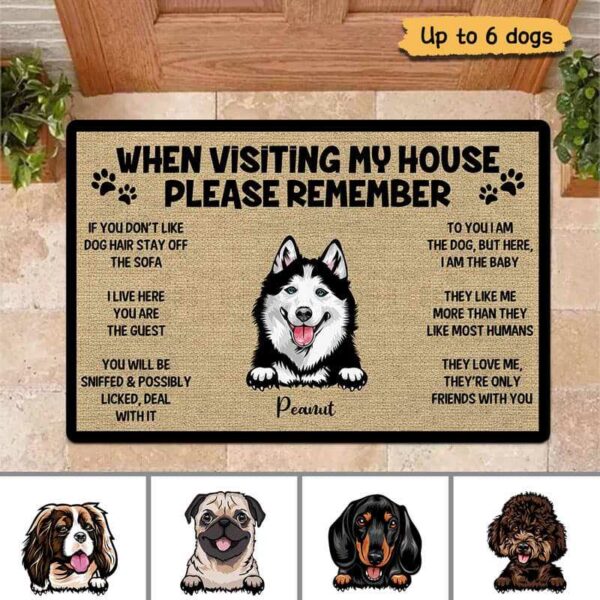 Doormat When Visiting Dogs House Peeking Dog Personalized Doormat 16x24