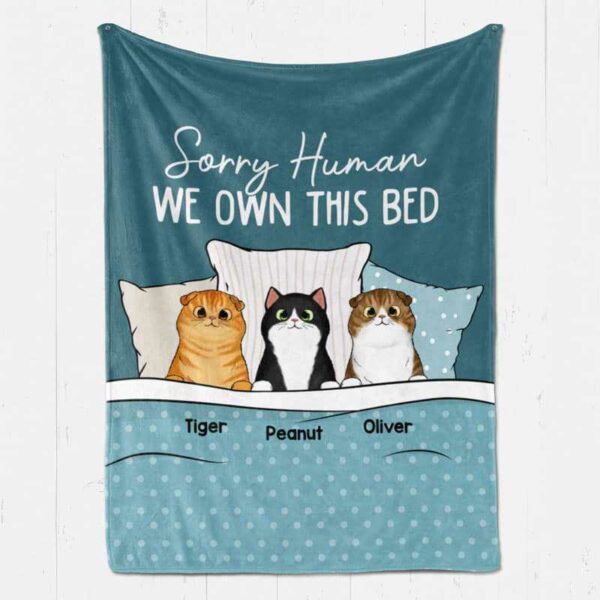 Fleece Blanket Sorry Human We Own This Bed Fluffy Cats Personalized Fleece Blanket