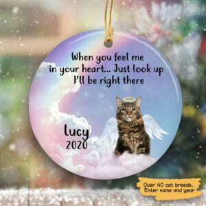 Circle Ornament Christmas I ll Be Right There Personalized Cat Decorative Memorial Ornament Pack 2