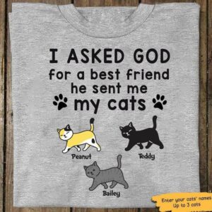 T-shirts Asked God For Best Friend Personalized Cat Dad Shirt Classic Tee / S / ASH